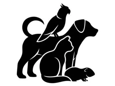 Pets