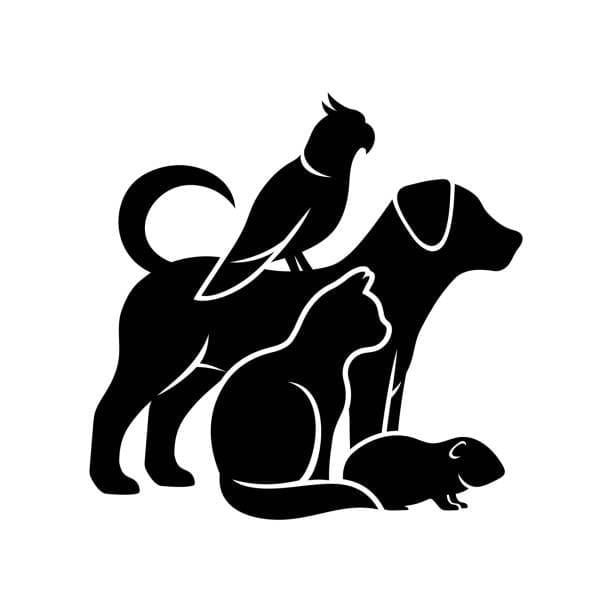 Pets