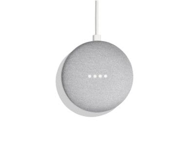 Google Home Mini Chalk Color