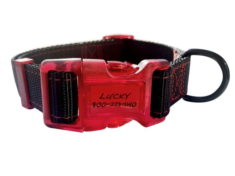 SPORN Identification Collar Small – Dog Tag, Dog Collar with built-in ID