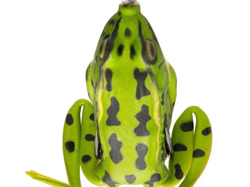 LUNKERHUNT Frog Lure for Bass Fishing | Pocket Frog Lure 1.75 Inch | Topwater Fishing Lures with Weedless Hooks for Trout, Pike in Saltwater and Fresh water