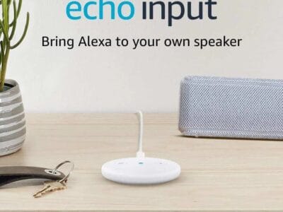 Echo Input