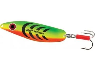 SYCLOPS PLAIN FIRETIGER