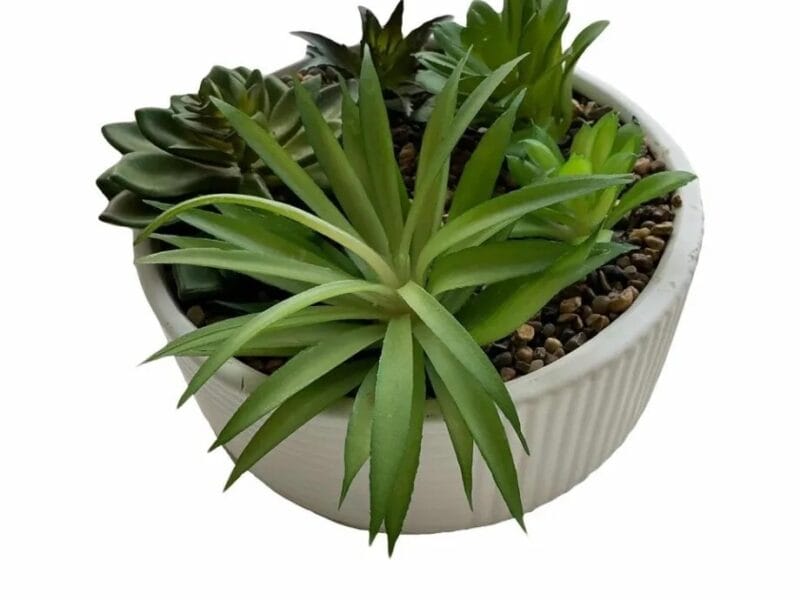 Mainstays Orange and Green Artificial Succulents in Cement Pot