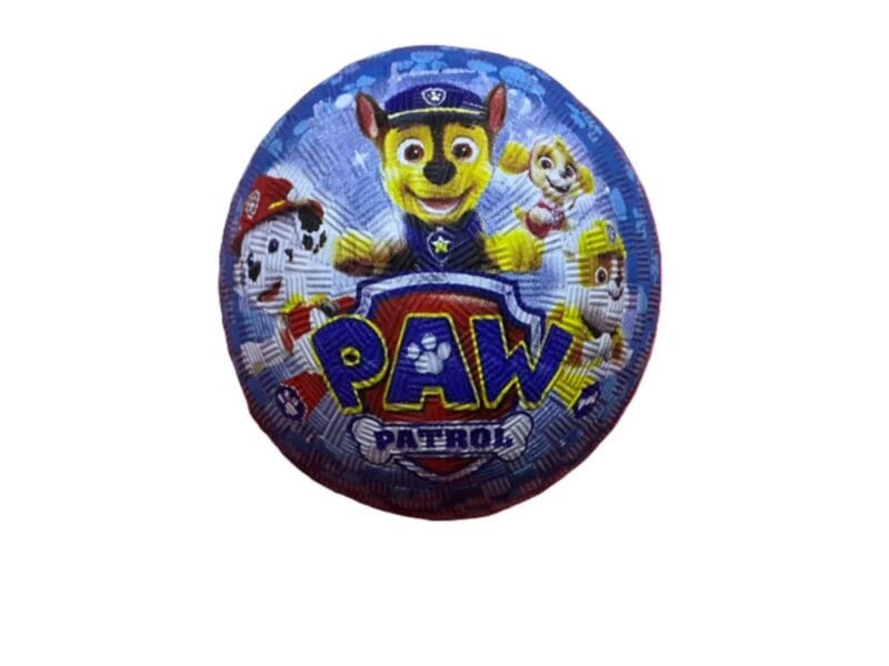 Paw Patrol Sports Ball