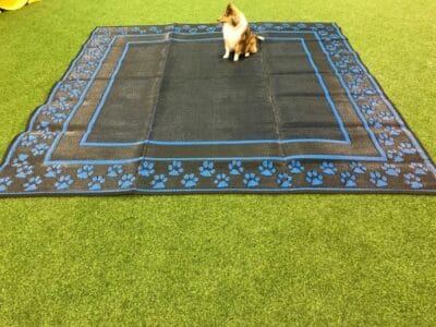 Handlers Choice Outdoor Rugged Carpet / Grass Mat – 2.5 x 3m