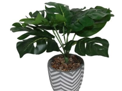 Lerman Decor’s Green Potted Plant