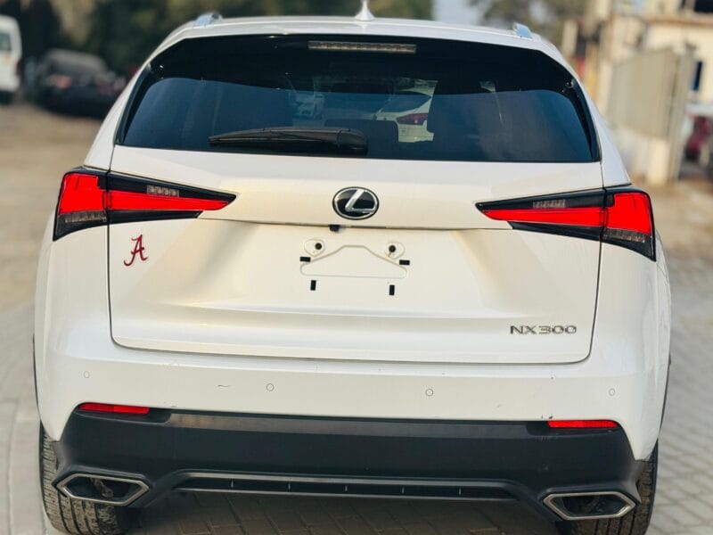 LEXUS NX 300 WHITE 2019