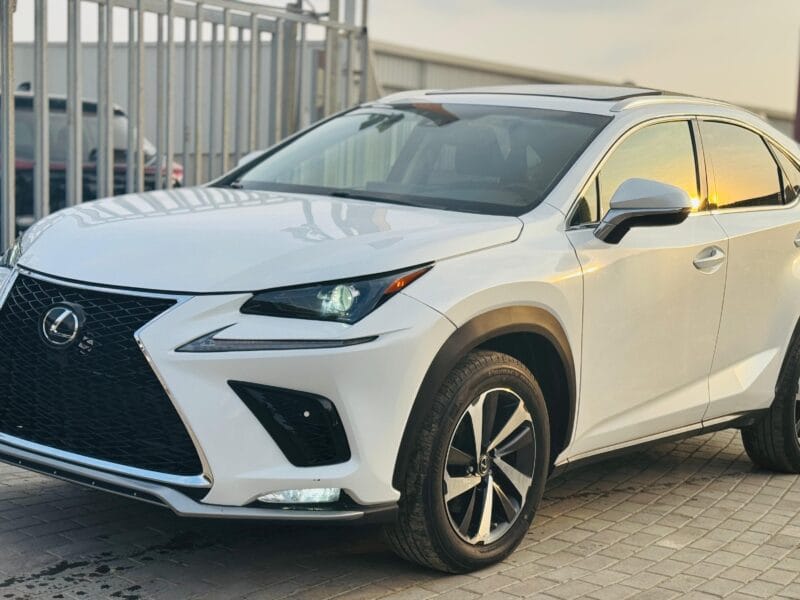 LEXUS NX 300 WHITE 2019