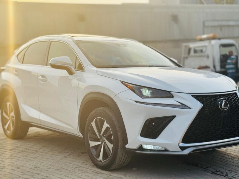 LEXUS NX 300 WHITE 2019