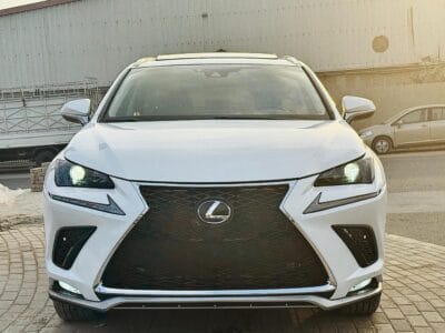 LEXUS NX 300 WHITE 2019