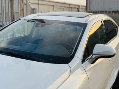 LEXUS NX 300 WHITE 2019