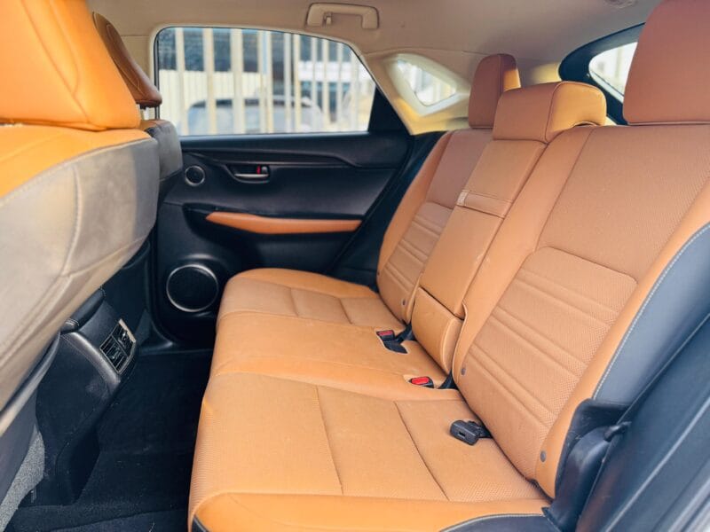 LEXUS NX 300 WHITE 2019