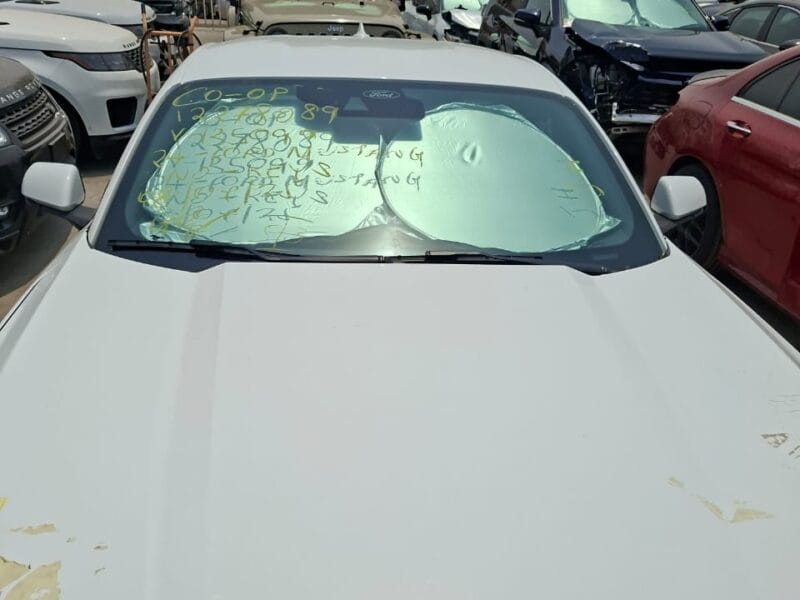 Fod Mustang 2024 V4 with 4 cylinders