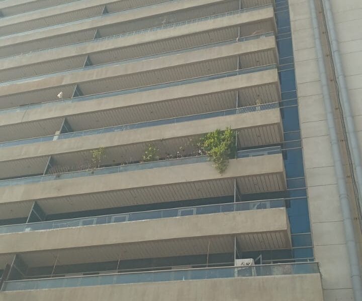 Residential 2 Bedroom Apartment for rent Al Nahda Dubai