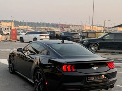 Mustang EcoBoost