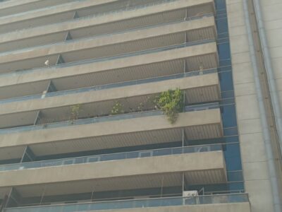 Residential 2 Bedroom Apartment for rent Al Nahda Dubai