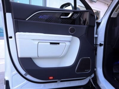 Hongqi E-HS9 HIGH SPECS 2025