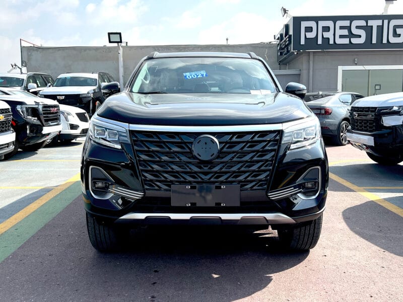 Dongfeng Paladin 2023 Black