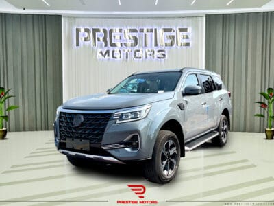 Dongfeng Paladin 2023 Grey