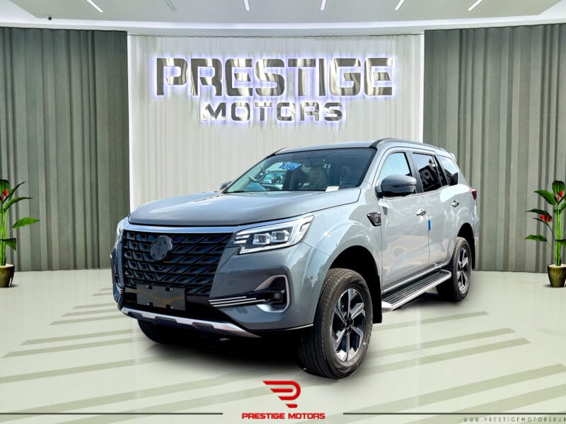 Dongfeng Paladin 2023 Grey