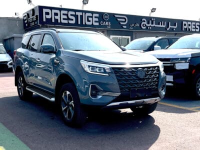 Dongfeng Paladin 2023 Grey