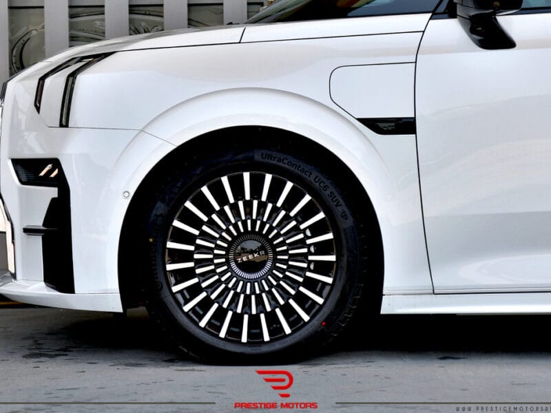 Zeekr 009 EV luxury Van 2024