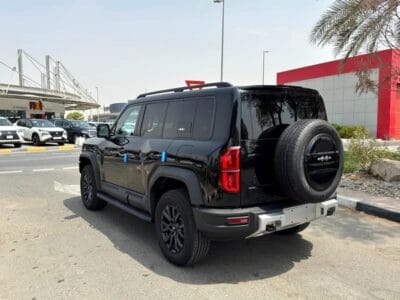 2025 BYD Leopard Other