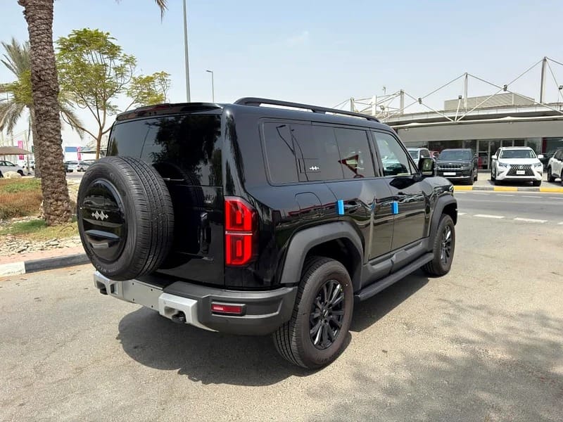 2025 BYD Leopard Other