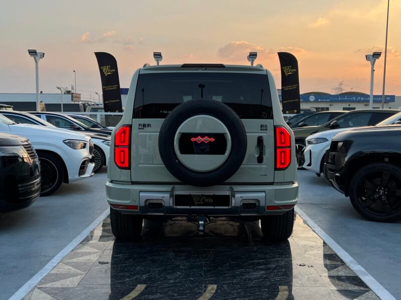 BYD | LEOPARD 5 | 2025