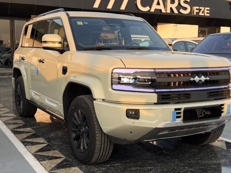 BYD | LEOPARD 5 | 2025