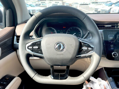 Dongfeng Paladin 2023 Black