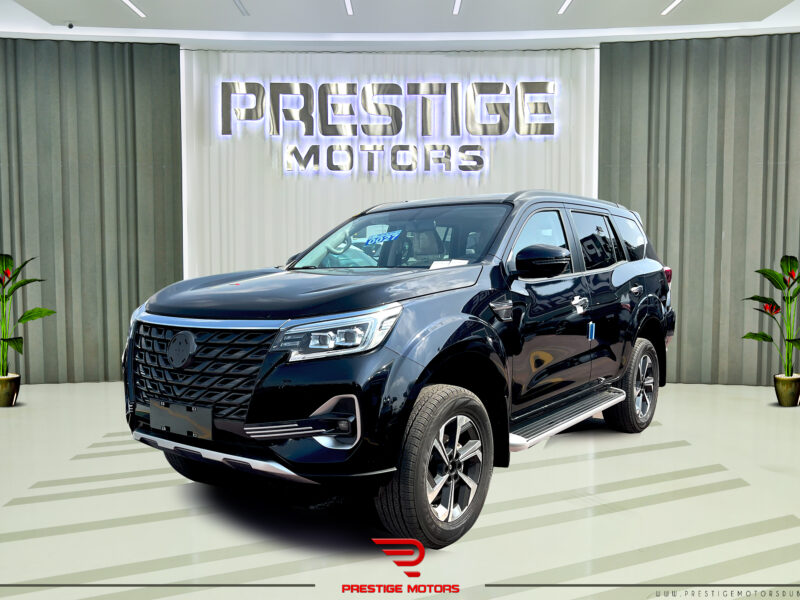 Dongfeng Paladin 2023 Black