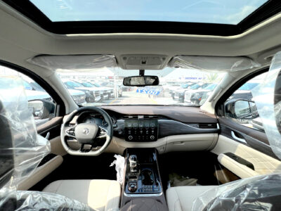 Dongfeng Paladin 2023 Black