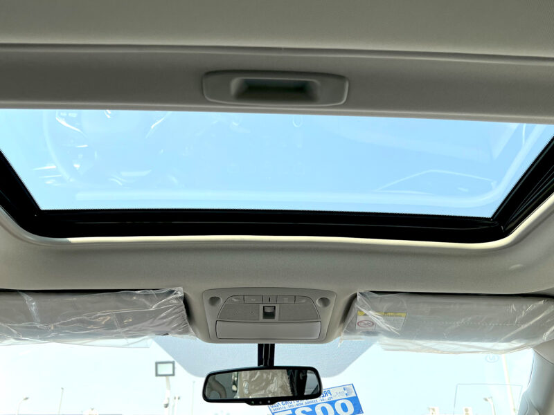 Dongfeng Paladin 2023 Grey