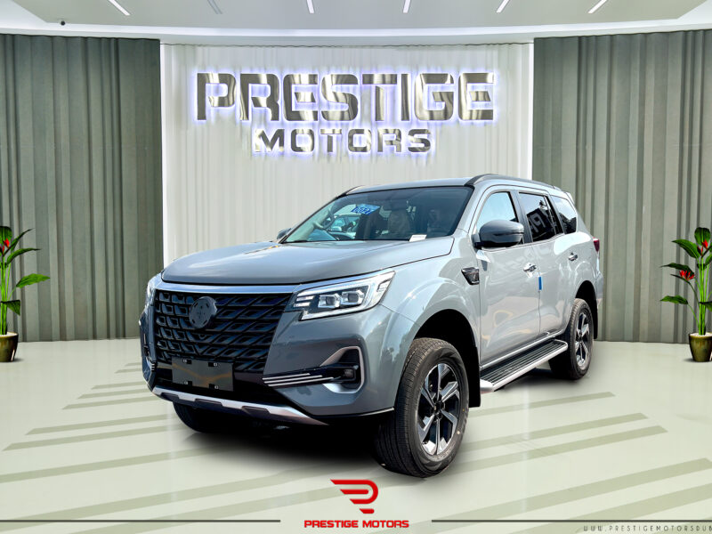Dongfeng Paladin 2023 Grey