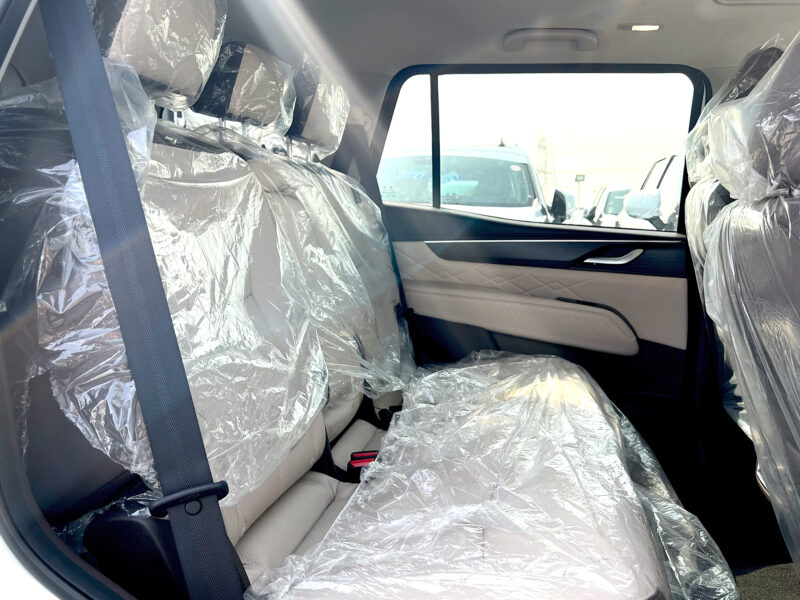 Dongfeng Paladin 2023 White