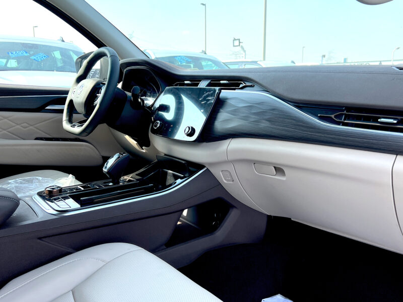 Dongfeng Paladin 2023 White