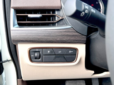 Dongfeng Paladin 2023 White