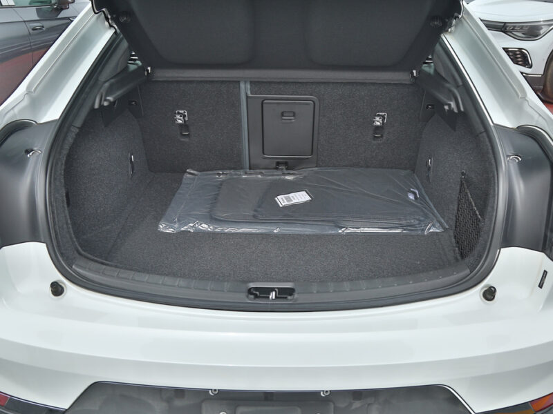 Polestar Polestar 2 2022 Local Registration +10%