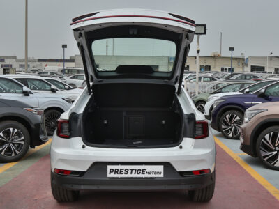 Polestar Polestar 2 2022 Local Registration +10%