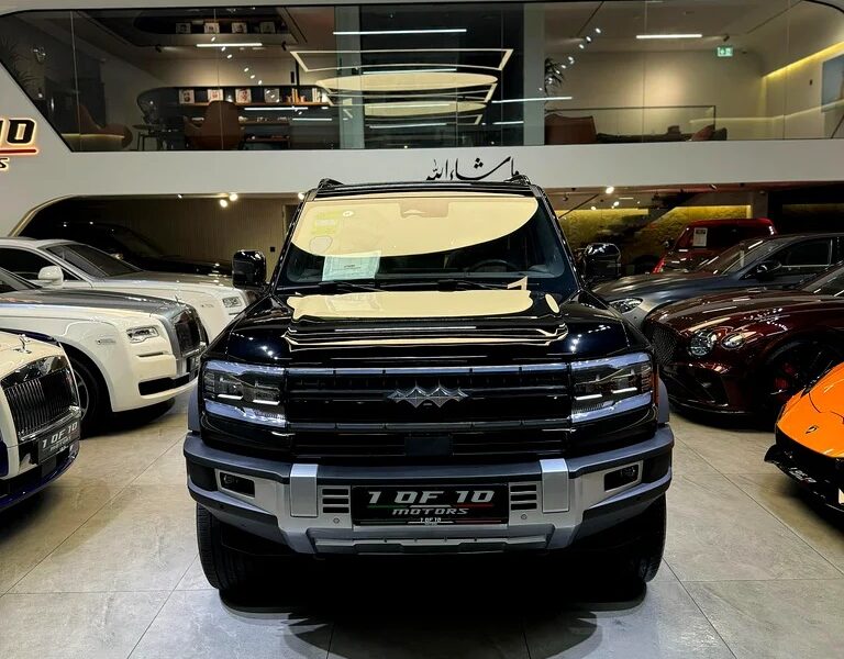 2025 BYD Leopard 5 Navigator