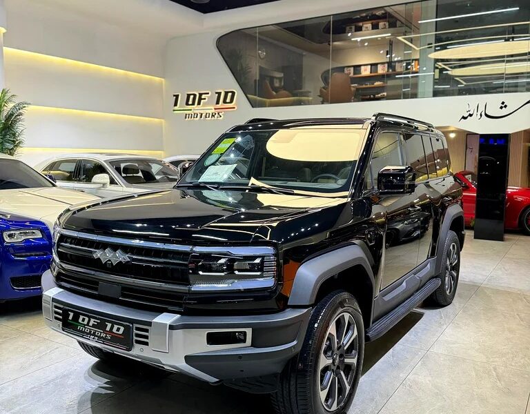 2025 BYD Leopard 5 Navigator