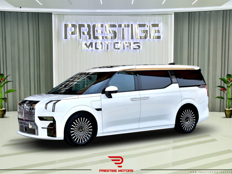 Zeekr 009 EV luxury Van 2024