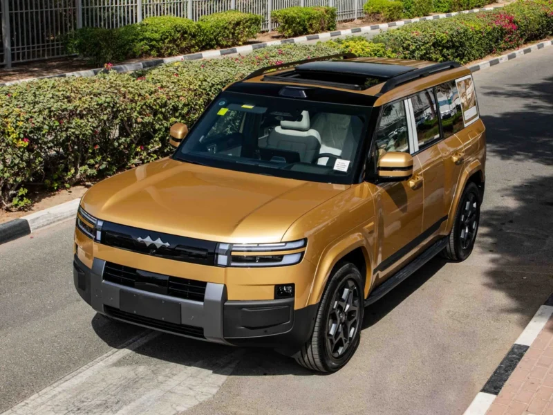 2025 BYD Leopard TITANIUM 7 ULTRA 0KM Gold Grey SUV