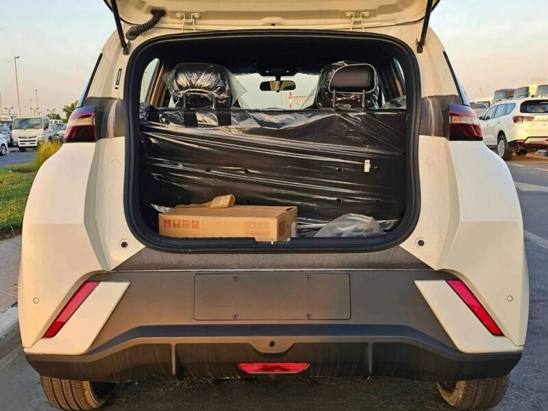 2025 BYD Seagull FLYING EDITION ELECTRIC FULL OPTION White