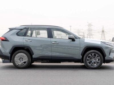 2025 Toyota Rav 4 Limited 2.5L AWD AT Hybrid (Green-Tan)