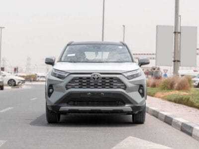 2025 Toyota Rav 4 Limited 2.5L AWD AT Hybrid (Green-Tan)