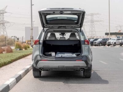 2025 Toyota Rav 4 Limited 2.5L AWD AT Hybrid (Green-Tan)