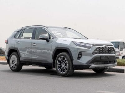 2025 Toyota Rav 4 Limited 2.5L AWD AT Hybrid (Green-Tan)